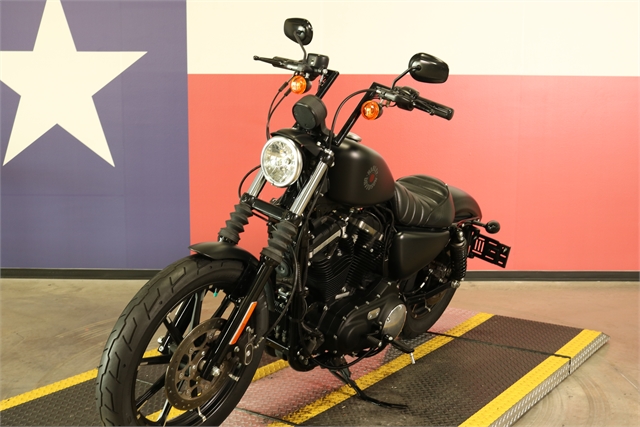 2020 Harley-Davidson Sportster Iron 883 at Texas Harley