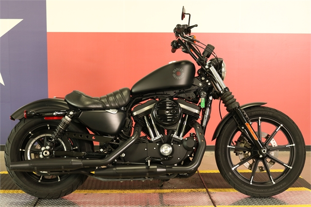 2020 Harley-Davidson Sportster Iron 883 at Texas Harley