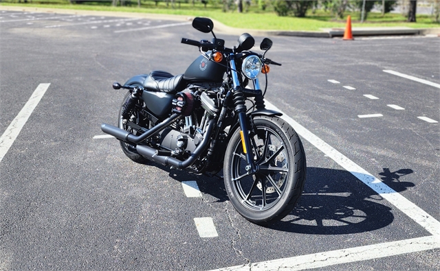 2021 Harley-Davidson Iron 883' Iron 883 at All American Harley-Davidson, Hughesville, MD 20637
