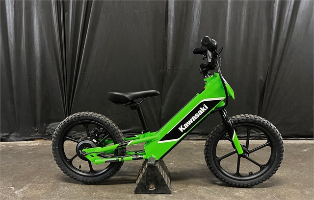 2023 Kawasaki Elektrode at Powersports St. Augustine