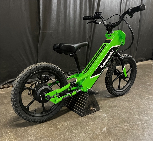 2023 Kawasaki Elektrode at Powersports St. Augustine