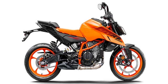 2024 KTM Duke 390 at Hebeler Sales & Service, Lockport, NY 14094