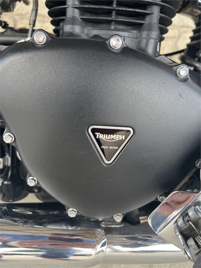 2013 Triumph Speedmaster Base at Harley-Davidson of Waco