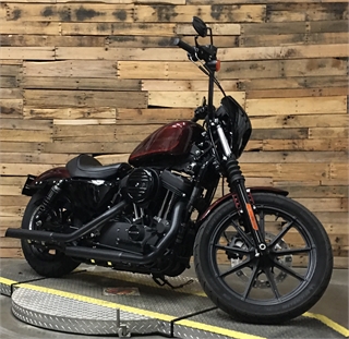 iron 83 harley davidson