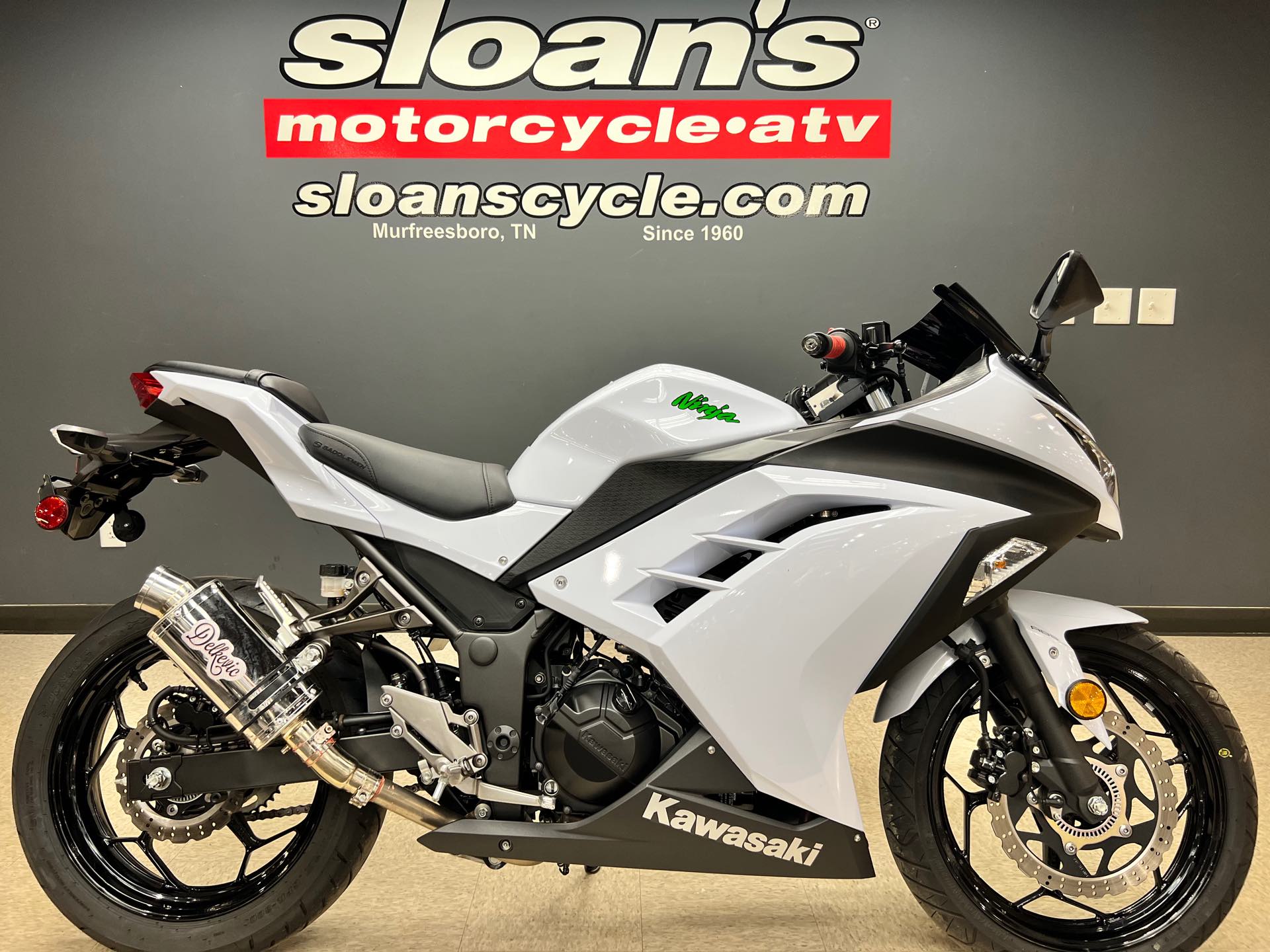 2015 Kawasaki Ninja 300 at Sloans Motorcycle ATV, Murfreesboro, TN, 37129