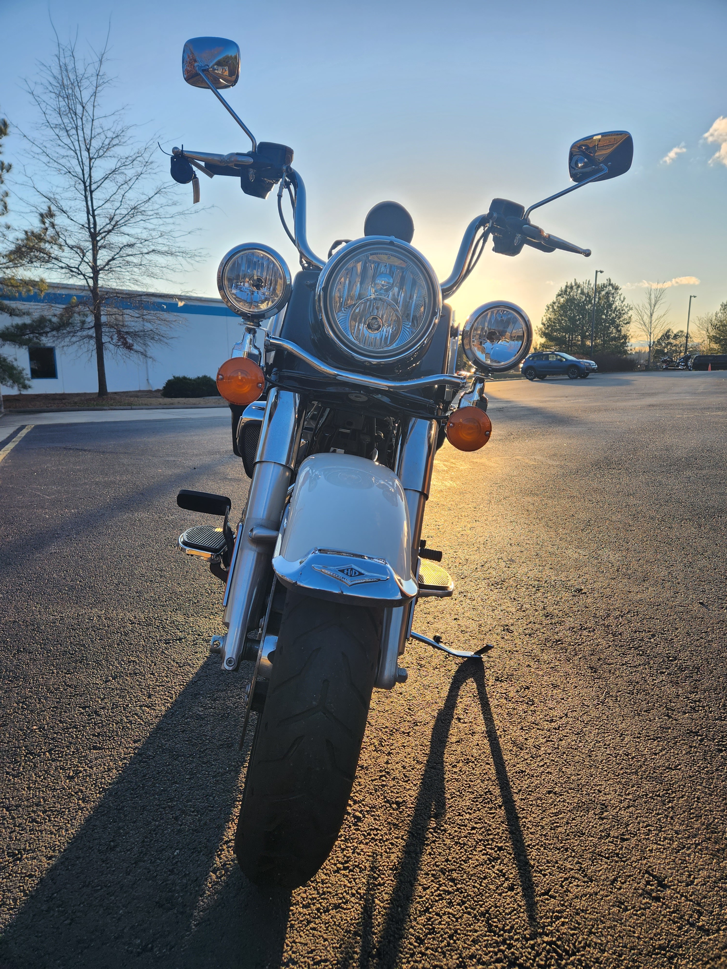 2019 Harley-Davidson Road King Base at Richmond Harley-Davidson
