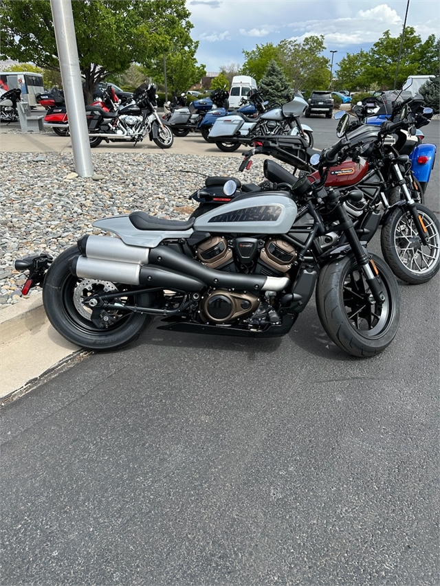 2024 Harley-Davidson Sportster at Teddy Morse's Grand Junction Harley-Davidson