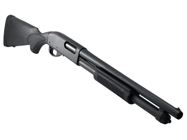 2022 Remington Tactical Shotgun at Harsh Outdoors, Eaton, CO 80615