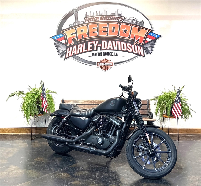 2021 Harley-Davidson Iron 883' Iron 883 at Mike Bruno's Freedom Harley-Davidson