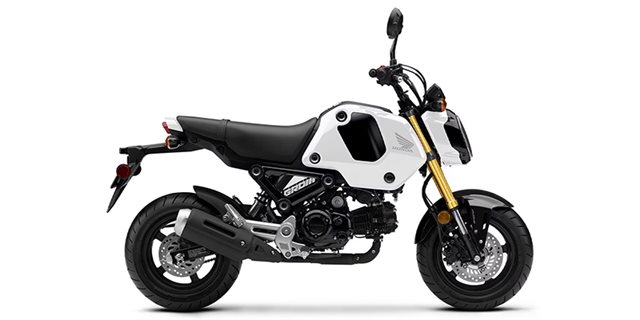 2024 Honda Grom ABS at Arkport Cycles