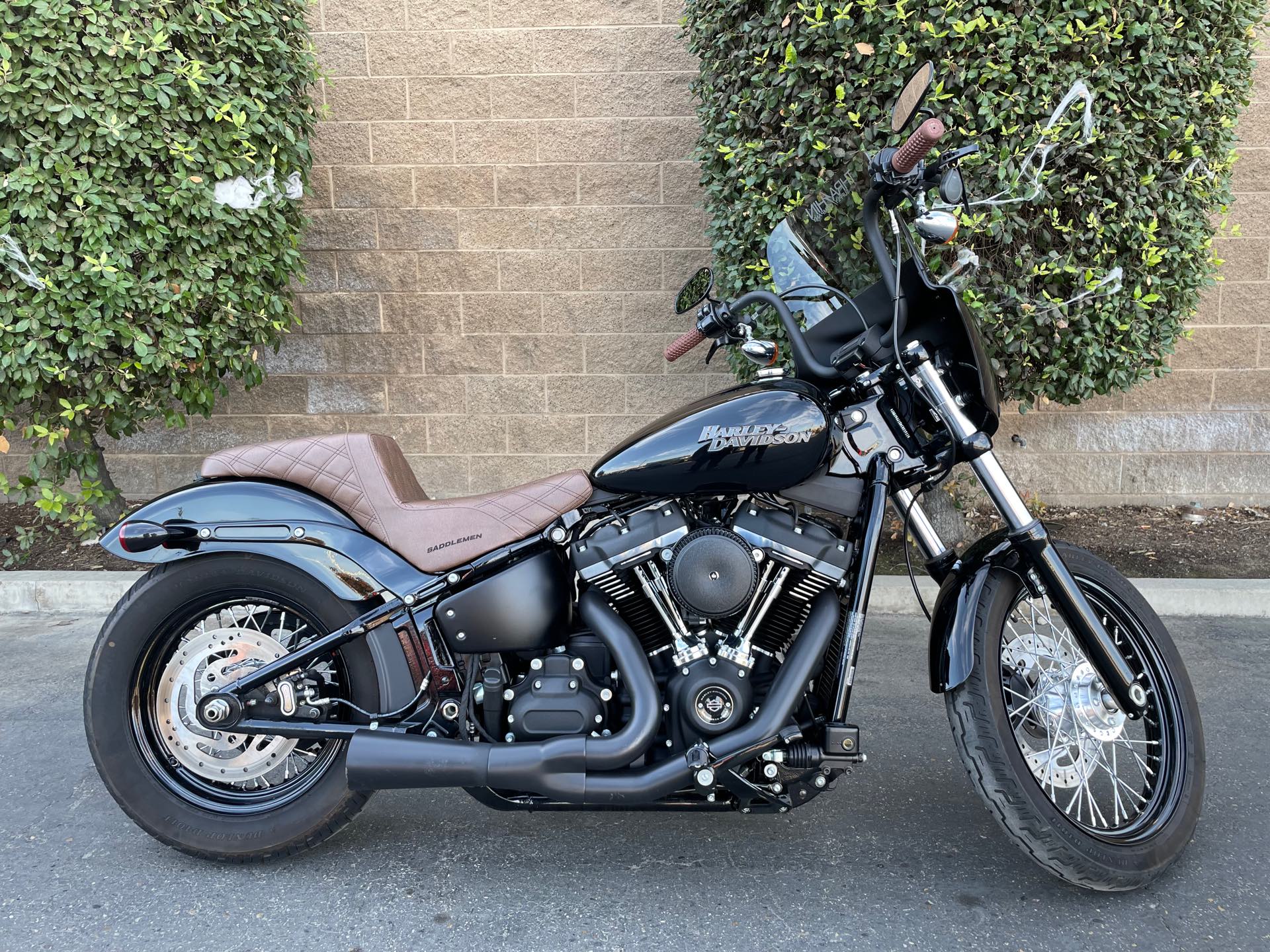 2019 Harley-Davidson Softail Street Bob at Fresno Harley-Davidson