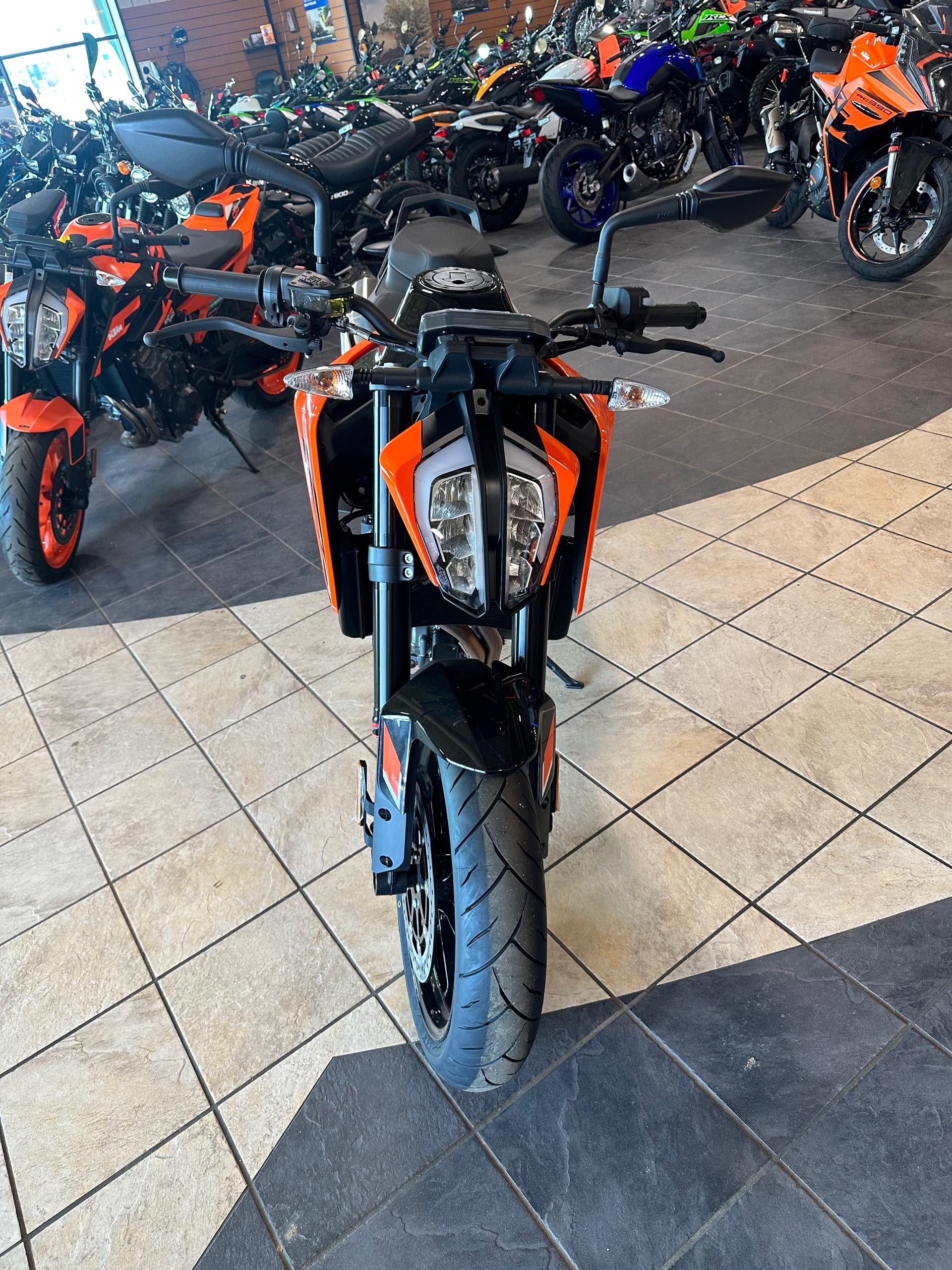 2024 KTM Duke 790 at Wood Powersports Fayetteville