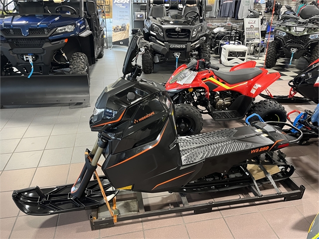 2023 WIDESCAPE WS250 at DT Powersports & Marine