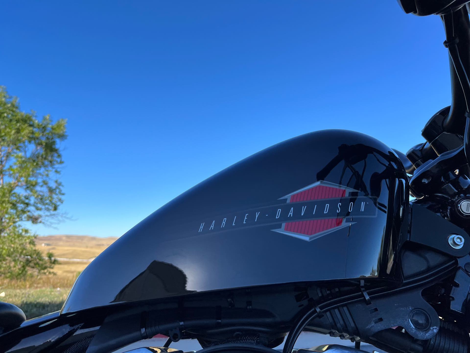 2022 Harley-Davidson Softail Street Bob 114 at Mount Rushmore Motorsports