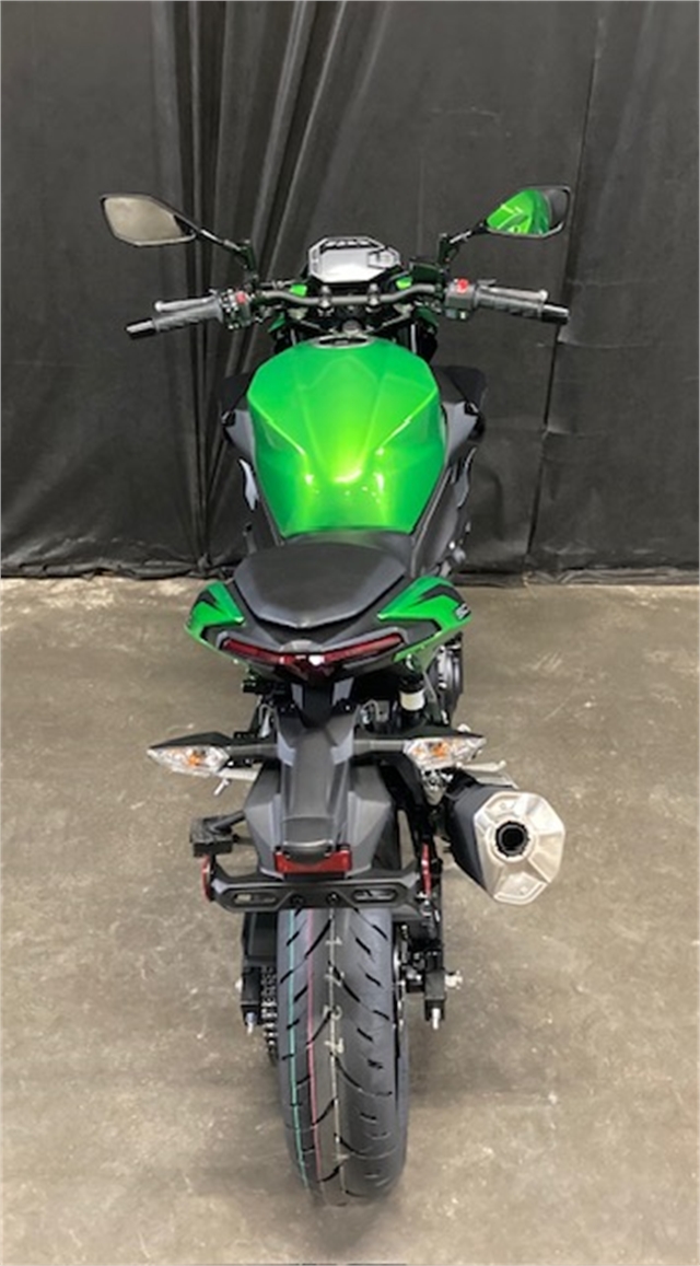 2024 Kawasaki Z500 ABS at Powersports St. Augustine