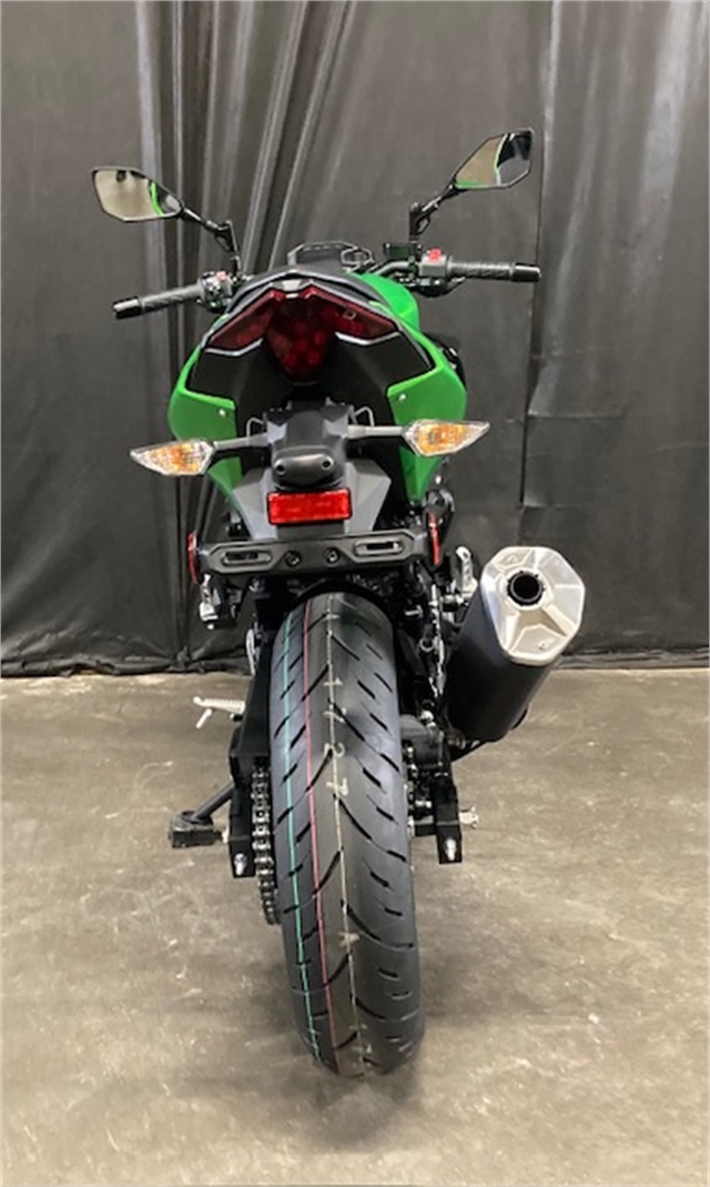 2024 Kawasaki Z500 ABS at Powersports St. Augustine