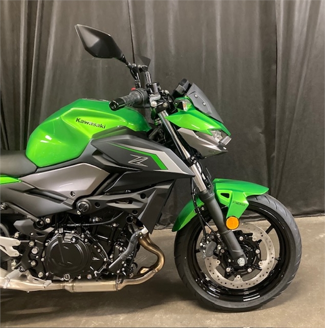 2024 Kawasaki Z500 ABS at Powersports St. Augustine