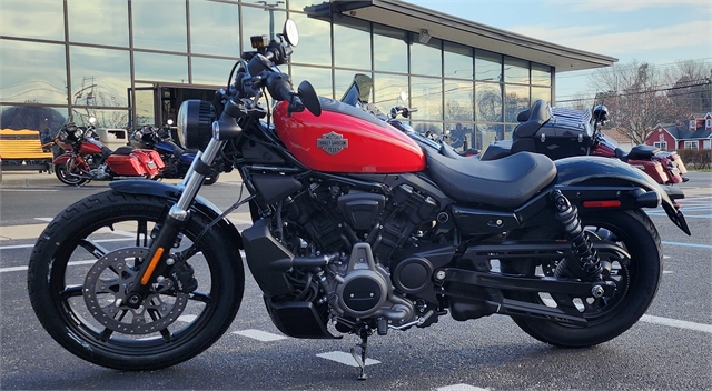 2023 Harley-Davidson Sportster Nightster at All American Harley-Davidson, Hughesville, MD 20637