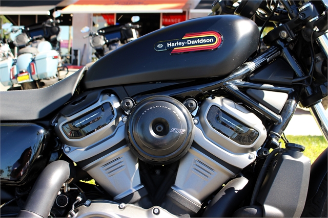 2023 Harley-Davidson Sportster Nightster Special at Quaid Harley-Davidson, Loma Linda, CA 92354