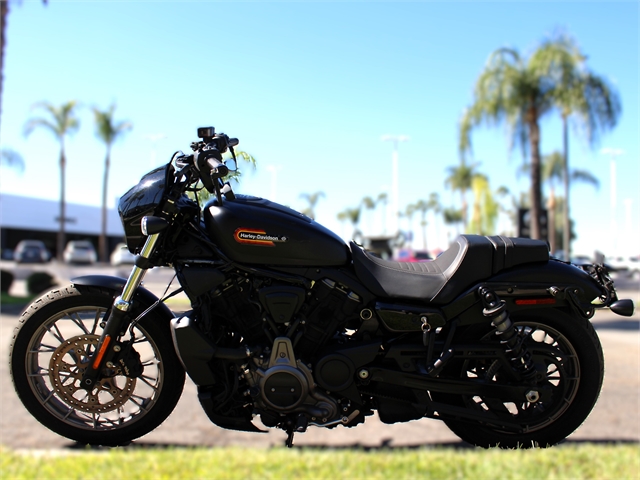 2023 Harley-Davidson Sportster Nightster Special at Quaid Harley-Davidson, Loma Linda, CA 92354