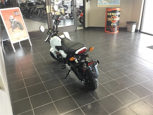 2025 Honda Grom ABS at Champion Motorsports