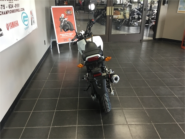 2025 Honda Grom ABS at Champion Motorsports