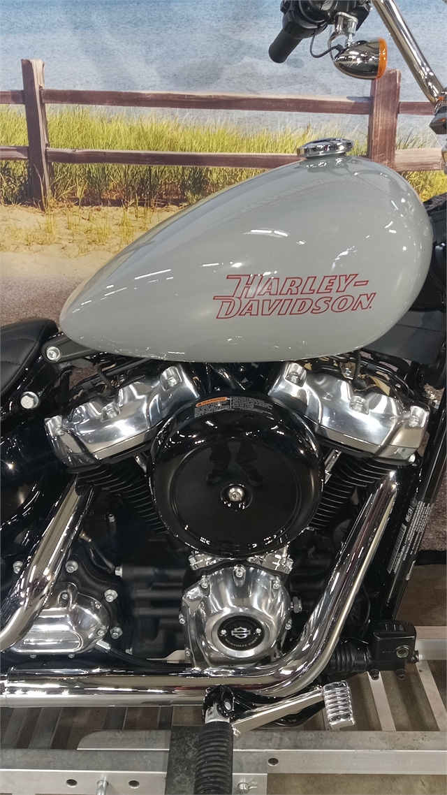 2024 Harley-Davidson Softail Standard at Hot Rod Harley-Davidson