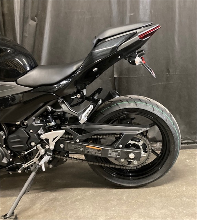 2024 Kawasaki Ninja 500 Base at Powersports St. Augustine