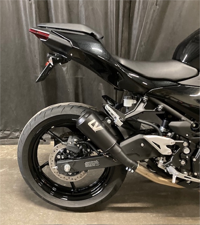 2024 Kawasaki Ninja 500 Base at Powersports St. Augustine