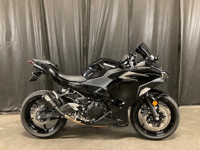 2024 Kawasaki Ninja 500 Base at Powersports St. Augustine