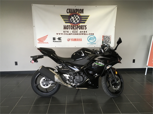 2024 Kawasaki Ninja 500 ABS at Champion Motorsports