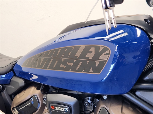 2023 Harley-Davidson Sportster at Texoma Harley-Davidson