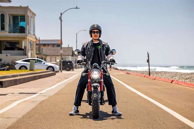 2025 Honda Monkey ABS at ATVs and More