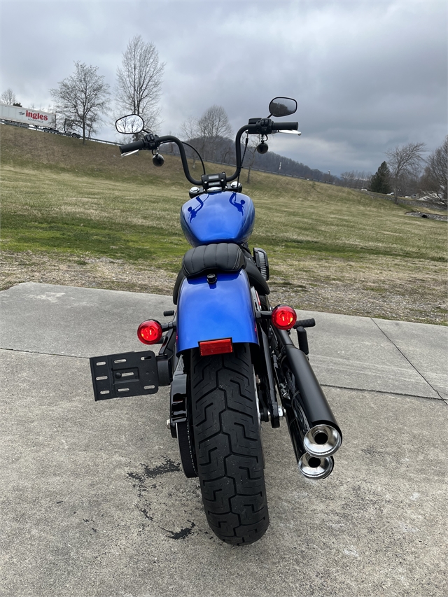 2024 Harley-Davidson Softail Street Bob 114 at Harley-Davidson of Asheville