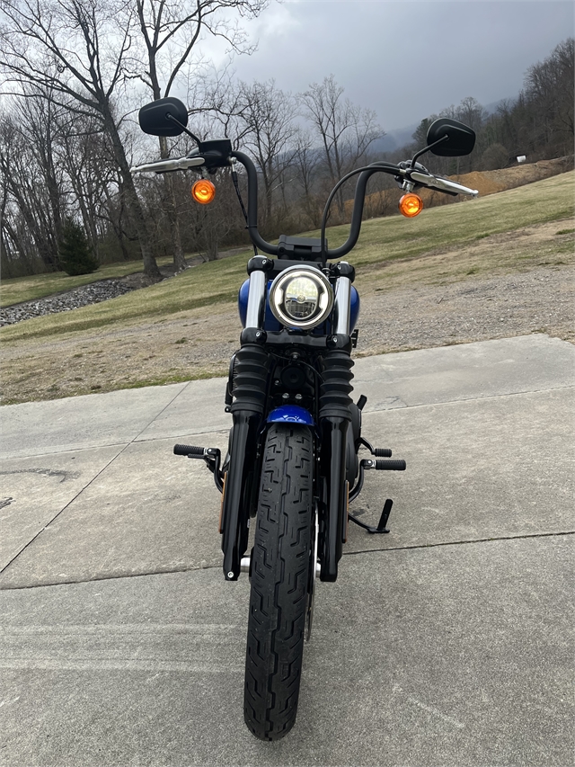 2024 Harley-Davidson Softail Street Bob 114 at Harley-Davidson of Asheville