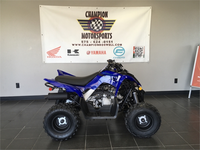 2025 Yamaha Raptor 110 at Champion Motorsports