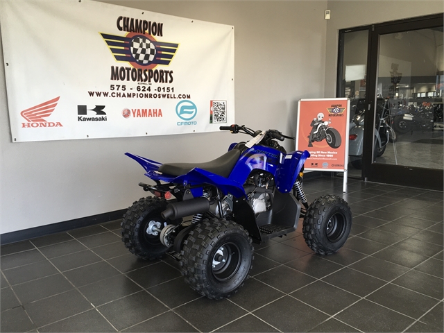 2025 Yamaha Raptor 110 at Champion Motorsports