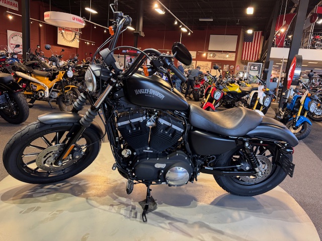 2012 Harley-Davidson Sportster Iron 883 at Martin Moto