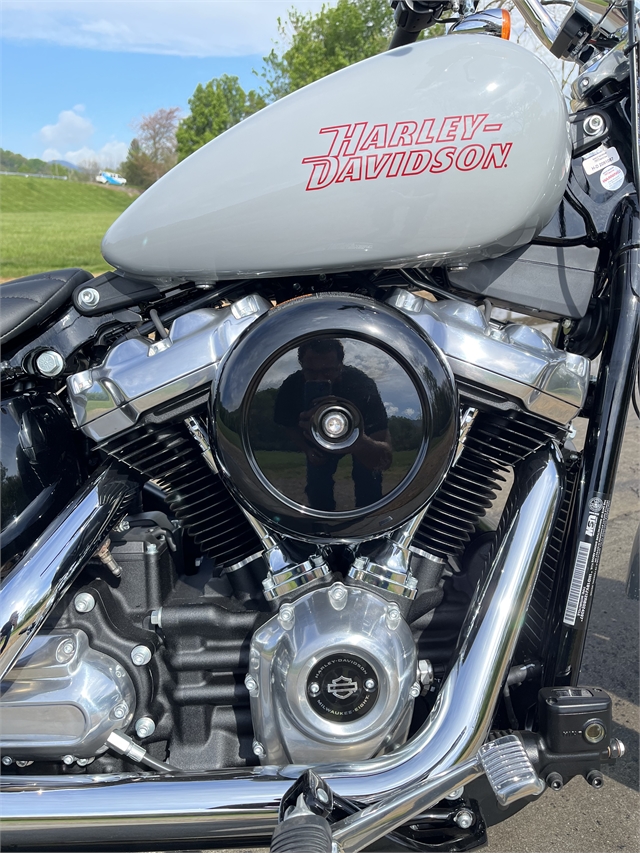 2024 Harley-Davidson Softail Standard at Harley-Davidson of Asheville