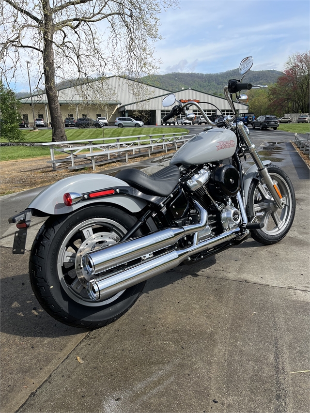 2024 Harley-Davidson Softail Standard at Harley-Davidson of Asheville