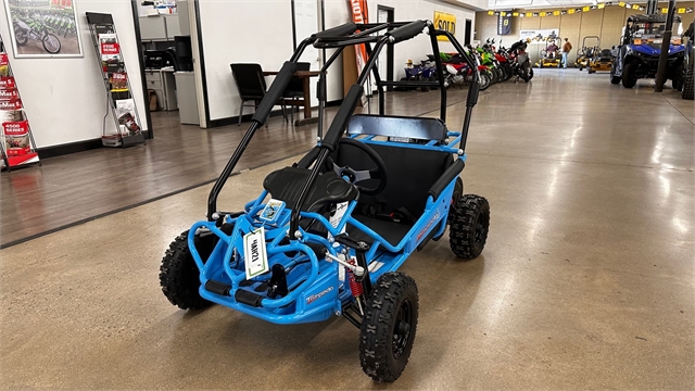 2025 Hammerhead TORPEDO 208 at ATVs and More
