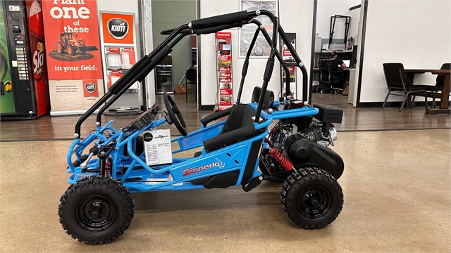 2025 Hammerhead TORPEDO 208 at ATVs and More