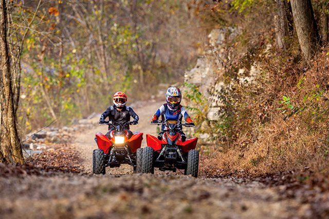 2024 Honda TRX 90X at Cycle Max