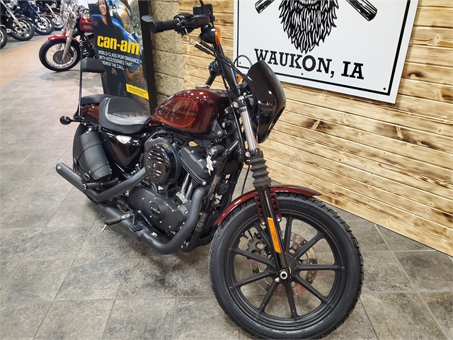 2019 Harley-Davidson Sportster Iron 1200 at Iron Hill Harley-Davidson