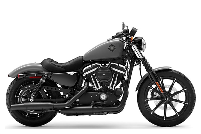 2022 Harley-Davidson Sportster Iron 883 at All American Harley-Davidson, Hughesville, MD 20637