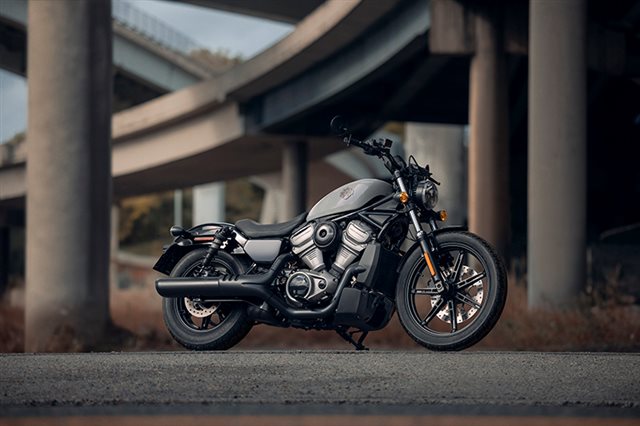 2024 Harley-Davidson Sportster Nightster at Arkport Cycles