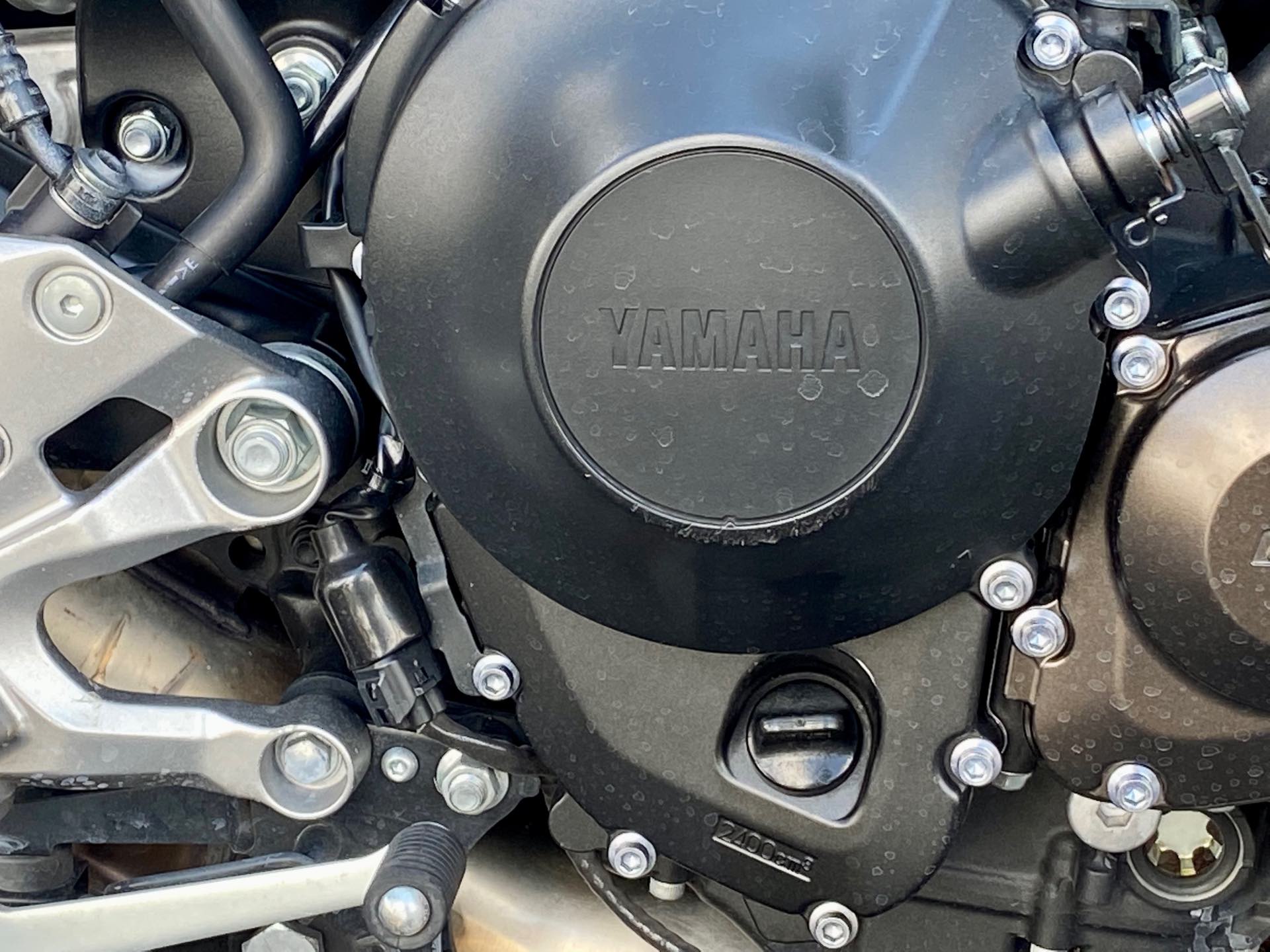 2019 Yamaha Tracer 900 GT at Tampa Triumph, Tampa, FL 33614