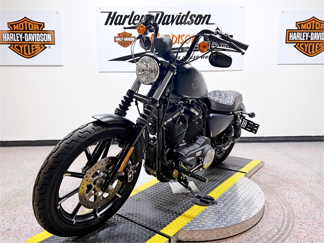 2021 Harley-Davidson Iron 883' at Harley-Davidson of Madison