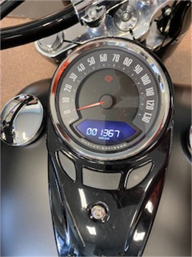 2020 Harley-Davidson Softail Softail Slim at Carlton Harley-Davidson®