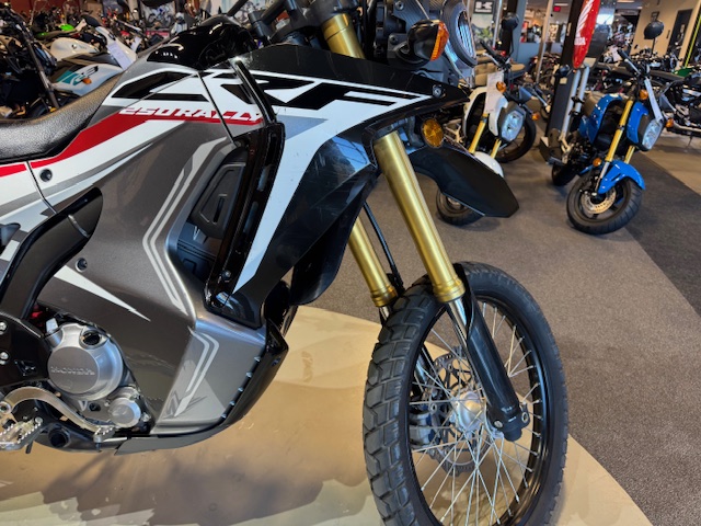 2018 Honda CRF 250L Rally at Martin Moto